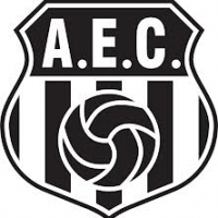 Escudo Andirá