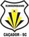 Escudo Avaí-kindermann