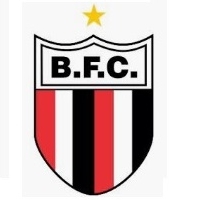 Escudo Botafogo