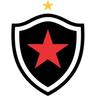 Logo do time Botafogo