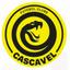 Futebol Clube Cascavel Ltda