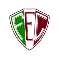 Logo do time Fluminense