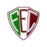 Logo do time Fluminense