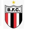 Logo do time Botafogo